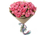 Фламинго