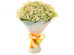 Раймашки